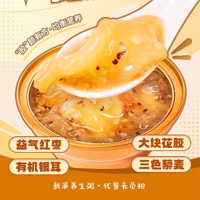 Buen precio Pescado guisado porro de quinoa instantáneo Comidas ligeras para el desayuno Alimentos nutritivos en línea